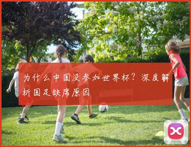 为什么中国没参加世界杯？深度解析国足缺席原因