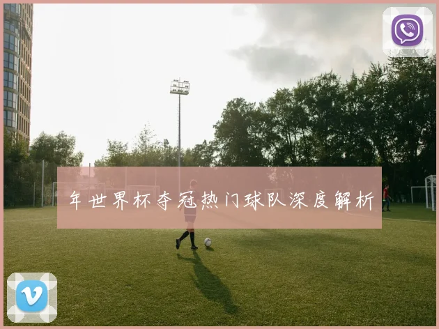 年世界杯夺冠热门球队深度解析