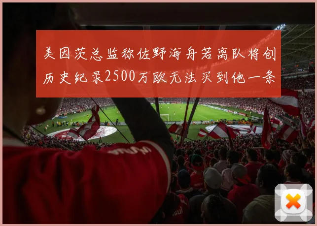 美因茨总监称佐野海舟若离队将创历史纪录2500万欧无法买到他一条腿