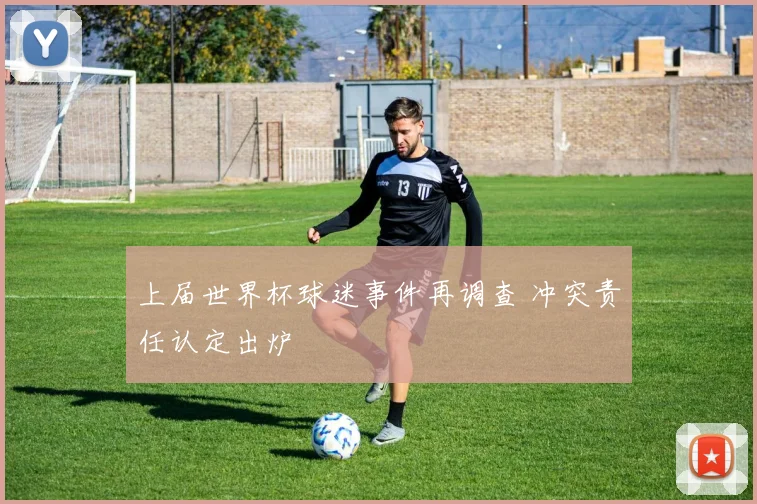 上届世界杯球迷事件再调查 冲突责任认定出炉