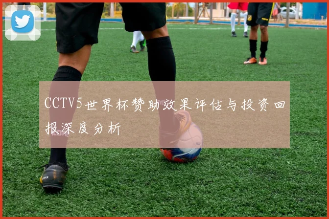 CCTV5世界杯赞助效果评估与投资回报深度分析
