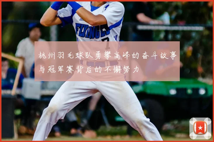 杭州羽毛球队勇攀高峰的奋斗故事与冠军赛背后的不懈努力