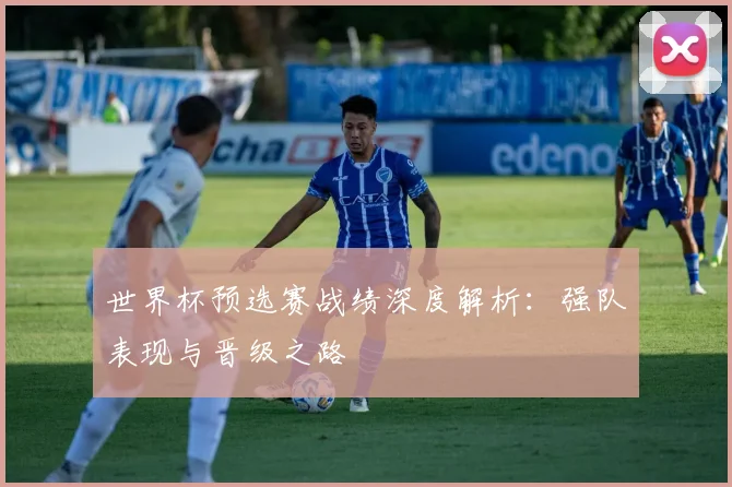 世界杯预选赛战绩深度解析：强队表现与晋级之路