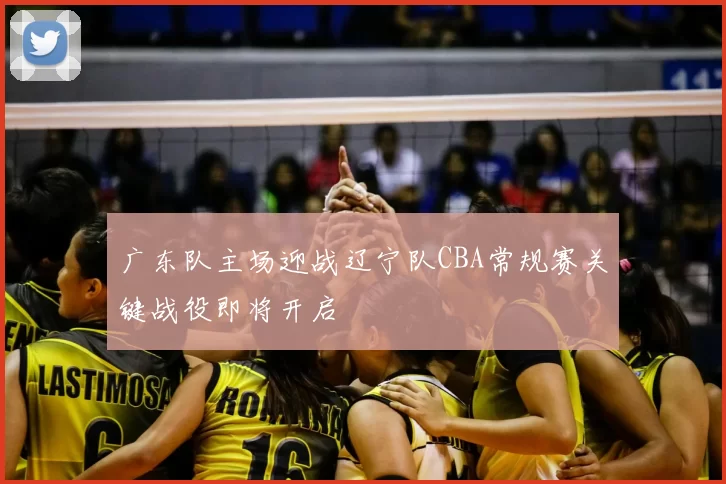 广东队主场迎战辽宁队CBA常规赛关键战役即将开启