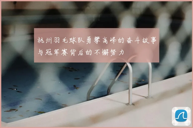 杭州羽毛球队勇攀高峰的奋斗故事与冠军赛背后的不懈努力