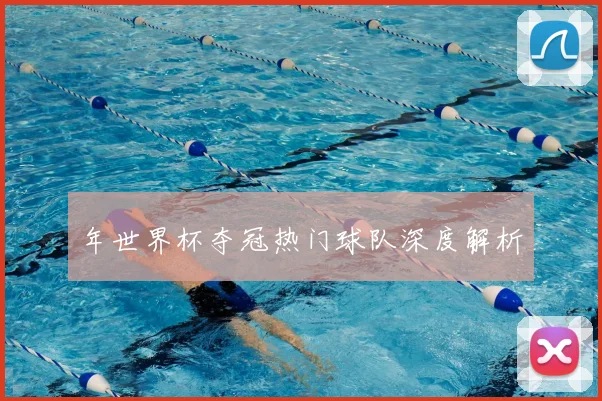 年世界杯夺冠热门球队深度解析